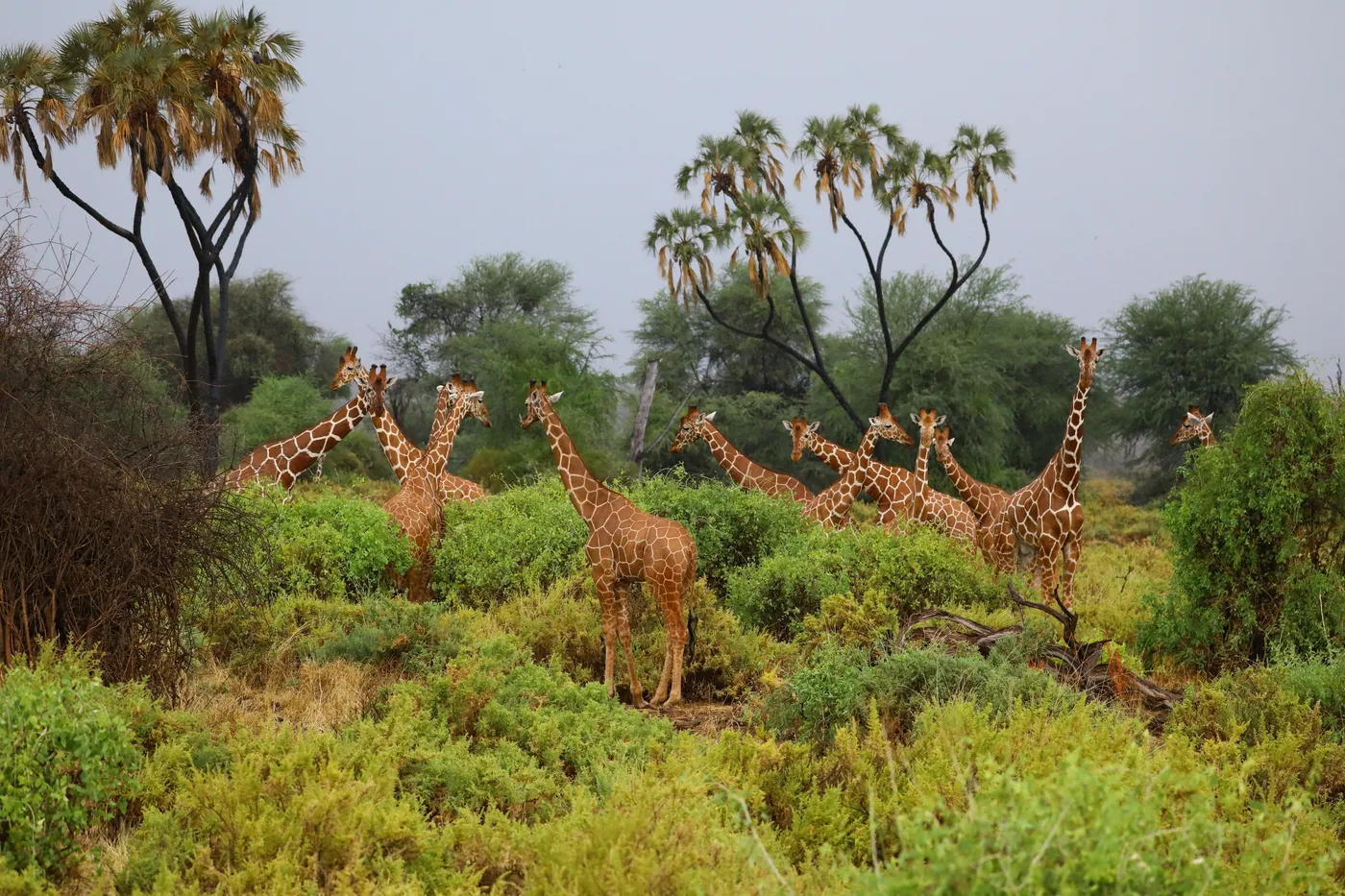 Arusha panoramic scenery
