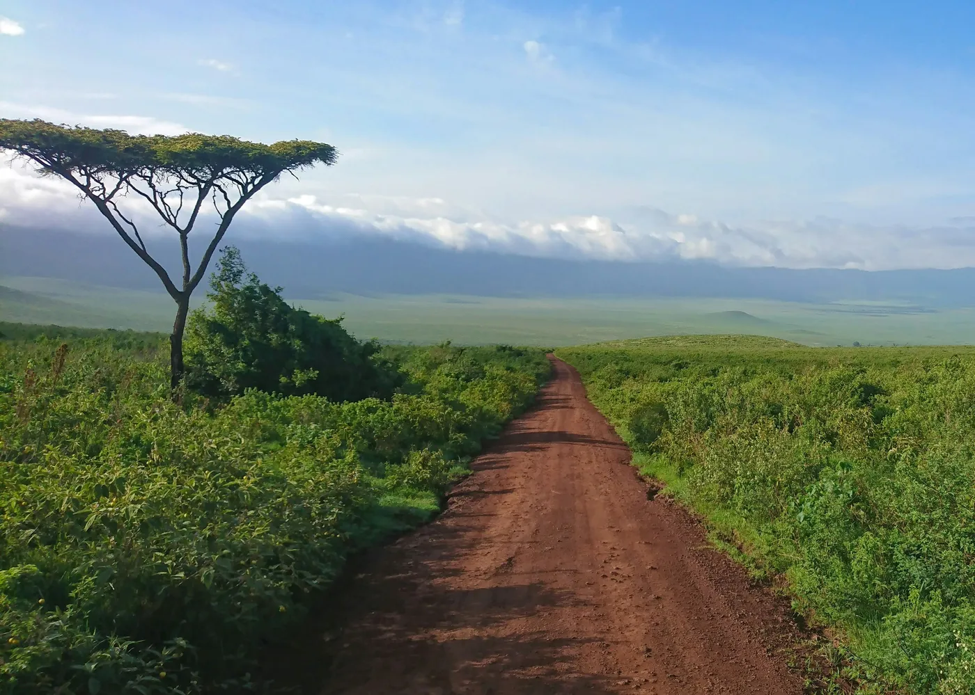 Game drive in Ngorongoro